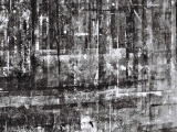 f1010035